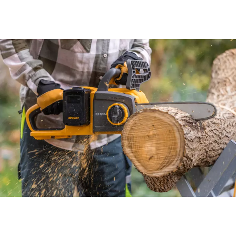 CS300e_273404501ST1_amb07_web